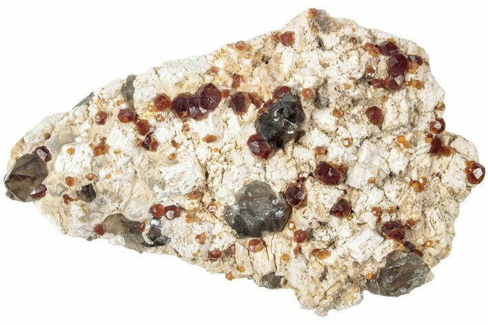 Spessartine Garnets With Smoky Quartz On Feldspar - China #238172